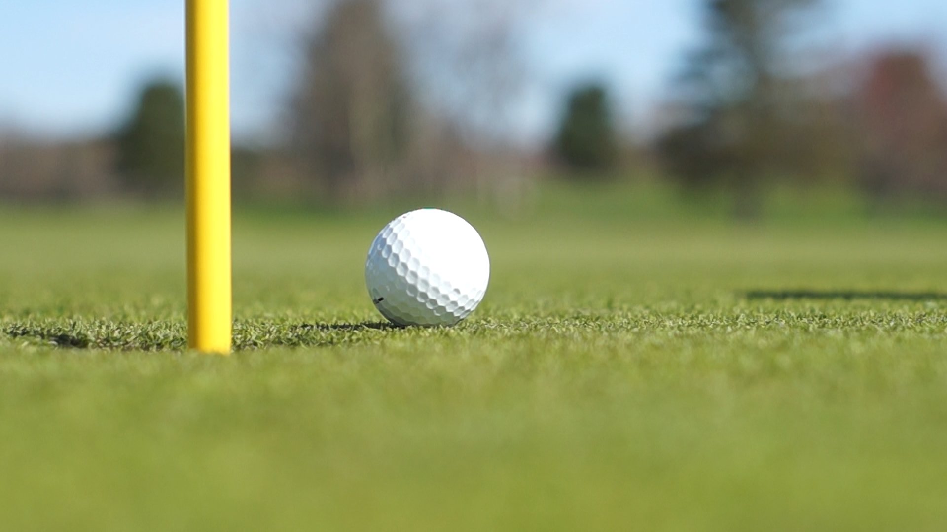 Low-angle shot of a golf ball beside the pin